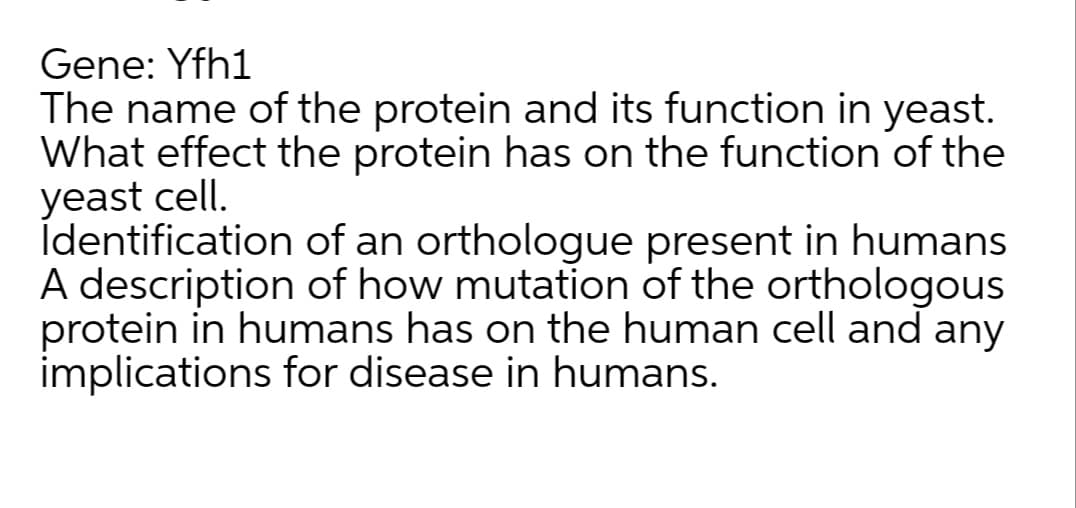Gene: Yfh1
The name of the protein and its function in yeast.
What effect the protein has on the function of the
yeast cell.
İdentification of an orthologue present in humans
A description of how mutation of the orthologous
protein in humans has on the human cell and any
implications for disease in humans.

