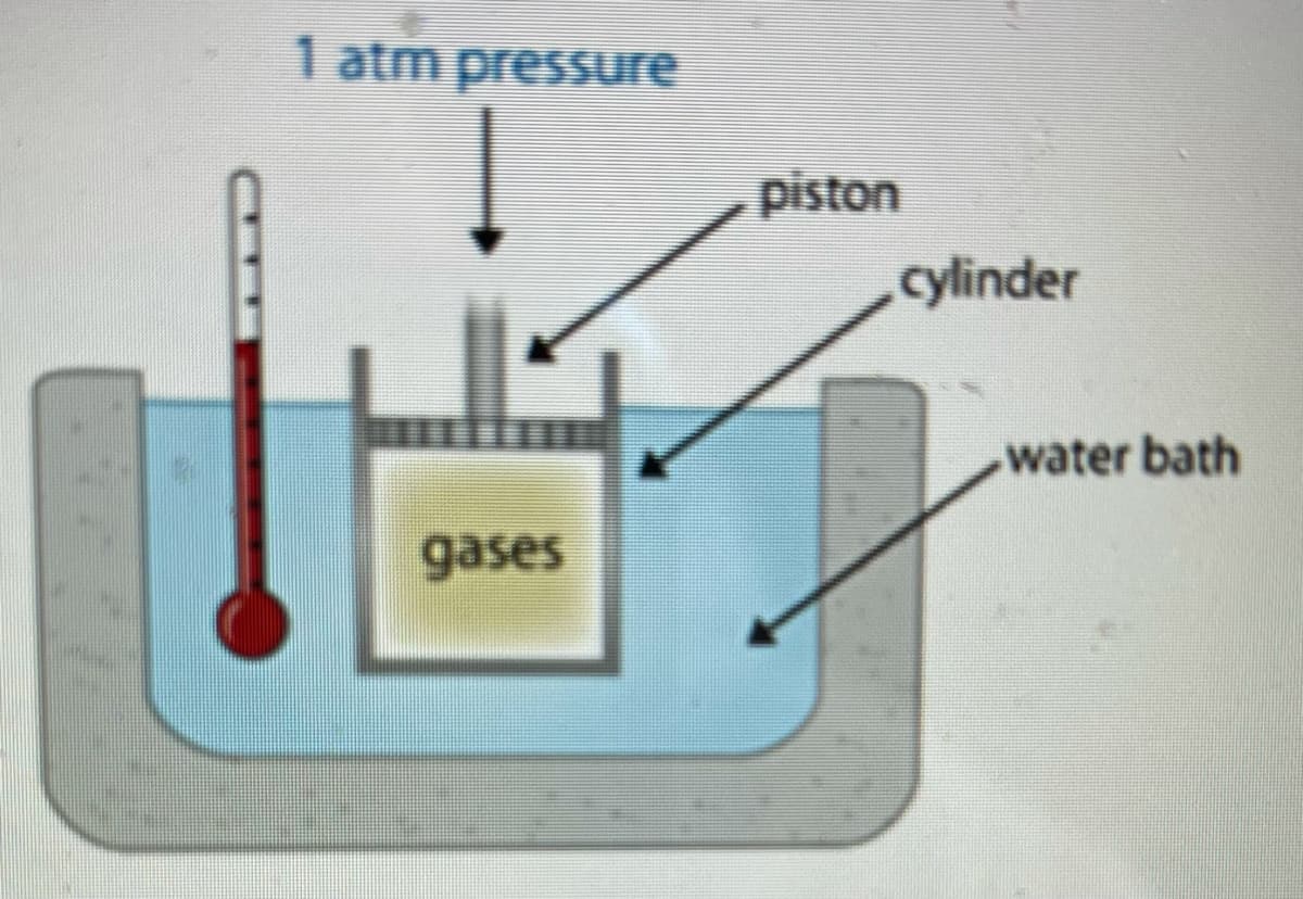 1 atm pressure
piston
cylinder
water bath
gases
