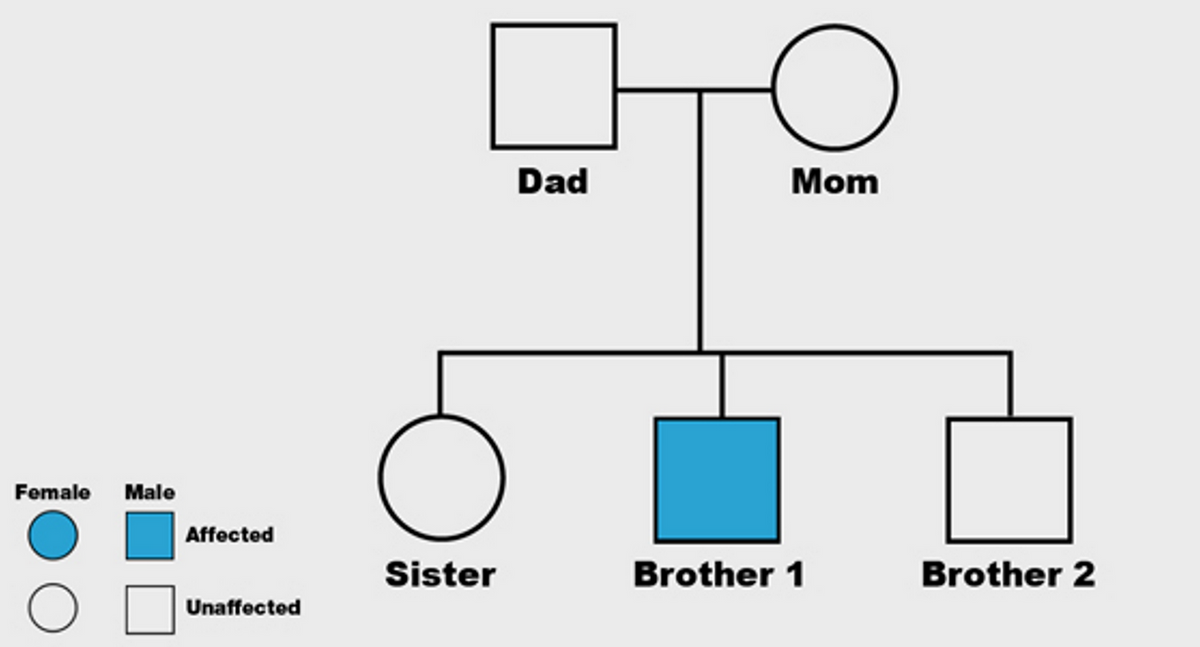 Dad
Mom
Female Male
Affected
Sister
Brother 1
Brother 2
Unaffected

