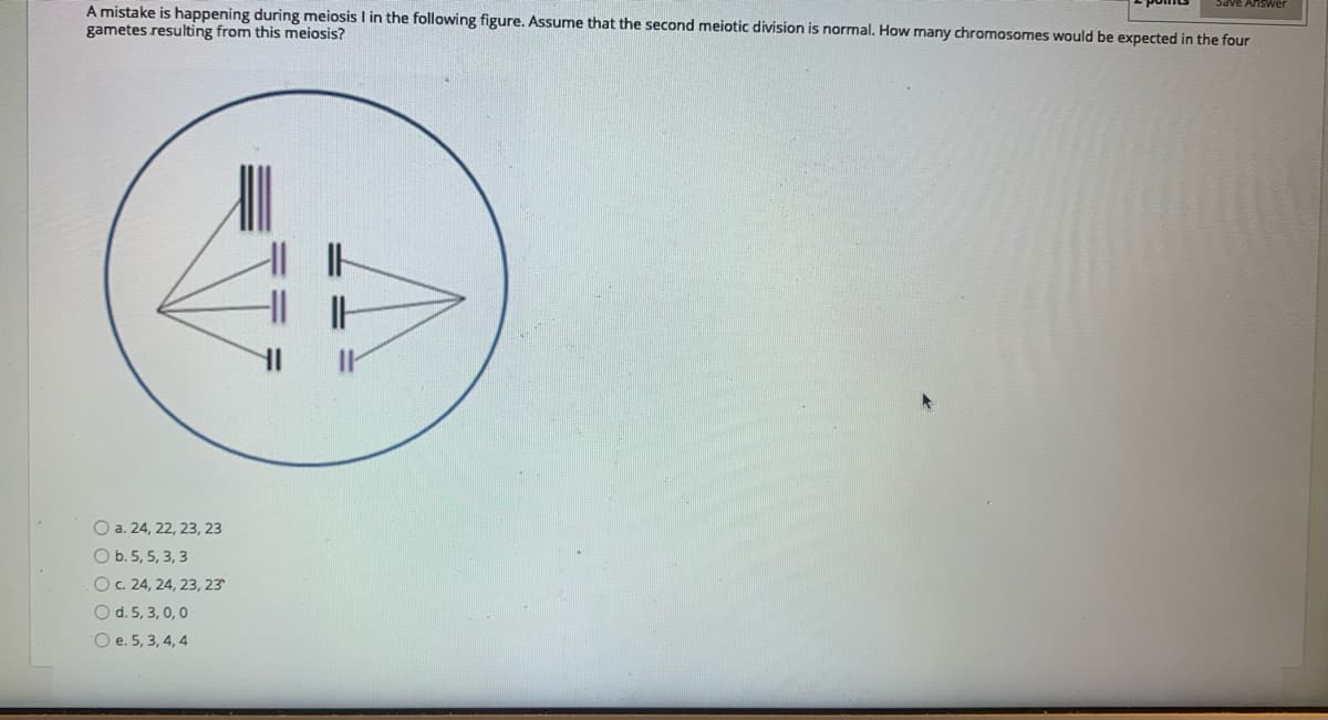 A mistake is happening during meiosis I in the following figure. Assume that the second meiotic division is normal. How many chromosomes would be expected in the four
gametes resulting from this meiosis?
O a. 24, 22, 23, 23
O b. 5, 5, 3, 3
O. 24, 24, 23, 23
O d. 5, 3, 0,0
O e. 5, 3, 4, 4
