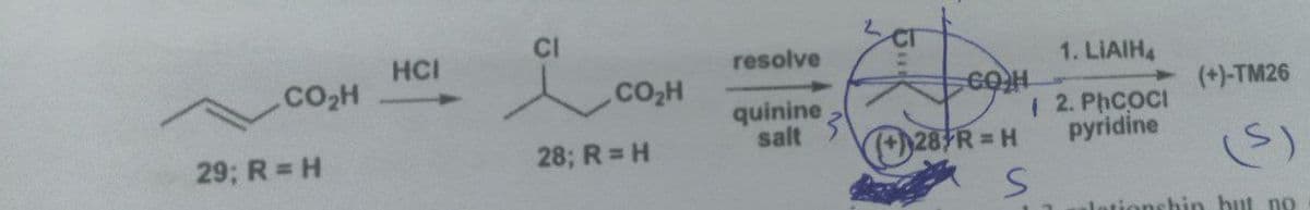 .CO₂H
29; R = H
HCI
CI
28; R = H
CO₂H
resolve
quinine
salt
3
COH
(+28/R = H
/
S
1. LIAIH4
2. PHCOCI
pyridine
(+)-TM26
lationship but no