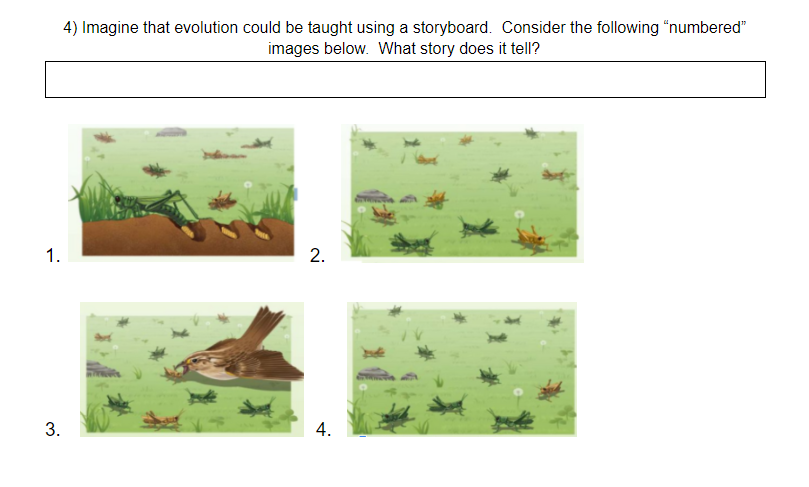 4) Imagine that evolution could be taught using a storyboard. Consider the following "numbered"
images below. What story does it tell?
1.
2.
4.
3.
