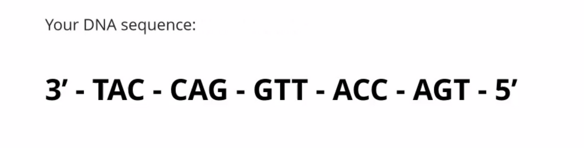 Your DNA sequence:
3'-TAC - CAG - GTT - ACC - AGT - 5'