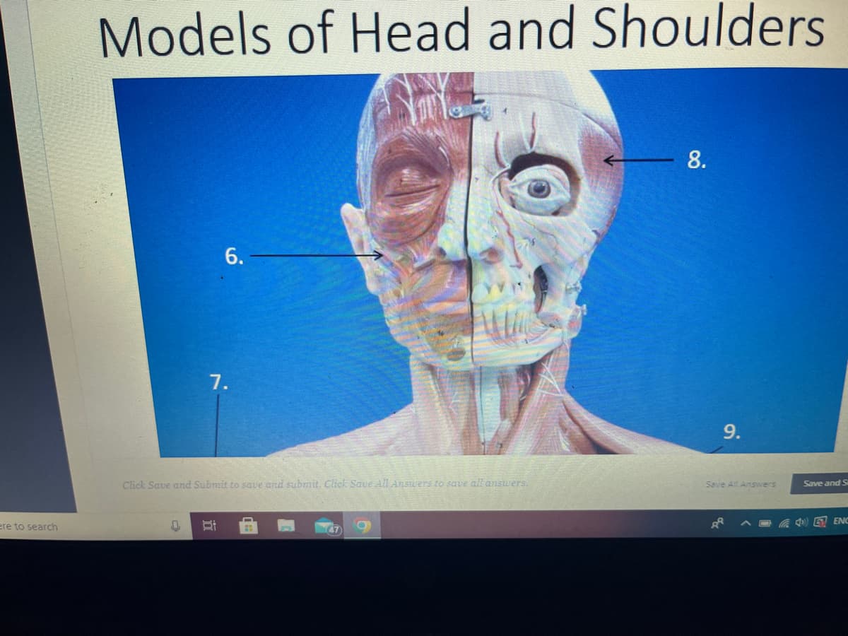 ere to search
Models of Head and Shoulders
0
6.
7.
Click Save and Submit to save and submit. Click Save All Answers to save all answers.
St
1
O
8.
9.
Save All Answers
A
Save and S
ENC