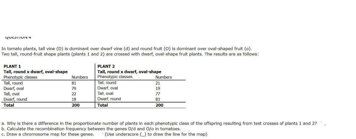 QUEJTIUIv 4
In tomato plants, tall vine (D) is dominant over dwarf vine (d) and round fruit (0) is dominant over oval-shaped fruit (o).
Two tall, round-fruit shape plants (plants 1 and 2) are crossed with dwarf, oval-shape fruit plants. The results are as follows:
PLANT 1
PLANT 2
Tall, round x dwarf, oval-shape
Phenotypic classes
Tall, round
Dwarf, oval
Tall, oval
Dwarf, round
Tall, round x dwarf, oval-shape
Phenotypic classes
Numbers
Numbers
81
Tall, round
21
Dwarf, oval
Tall, oval
Dwarf, round
79
19
22
77
18
83
Total
200
Total
200
a. Why is there a difference in the proportionate number of plants in each phenotypic class of the offspring resulting from test crosses of plants 1 and 2?
b. Calculate the recombination frequency between the genes D/d and O/o in tomatoes.
c. Draw a chromosome map for these genes.
(Use underscore (_) to draw the line for the map)
