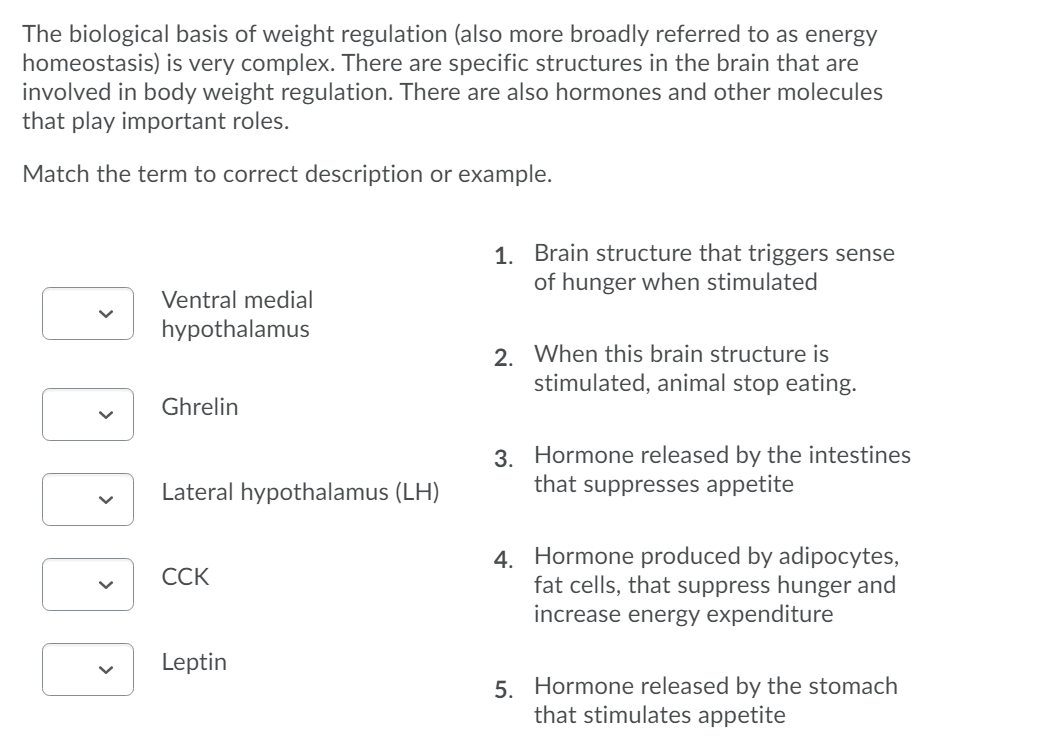 The biological basis of weight regulation (also more broadly referred to as energy
homeostasis) is very complex. There are specific structures in the brain that are
involved in body weight regulation. There are also hormones and other molecules
that play important roles.
Match the term to correct description or example.
1. Brain structure that triggers sense
of hunger when stimulated
Ventral medial
hypothalamus
2. When this brain structure is
stimulated, animal stop eating.
Ghrelin
3. Hormone released by the intestines
that suppresses appetite
Lateral hypothalamus (LH)
4. Hormone produced by adipocytes,
fat cells, that suppress hunger and
increase energy expenditure
ССК
Leptin
5. Hormone released by the stomach
that stimulates appetite
>
>
>
