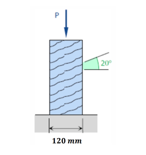 20°
120 тm
P.
