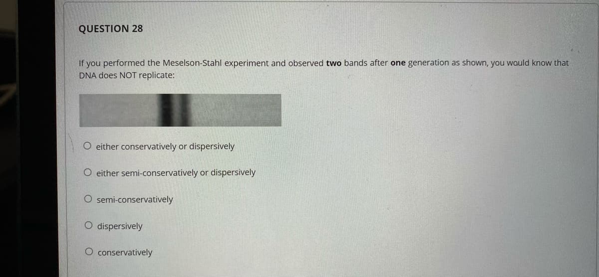 QUESTION 28
If you performed the Meselson-Stahl experiment and observed two bands after one generation as shown, you wauld know that
DNA does NOT replicate:
O either conservatively or dispersively
O either semi-conservatively or dispersively
O semi-conservatively
O dispersively
O conservatively
