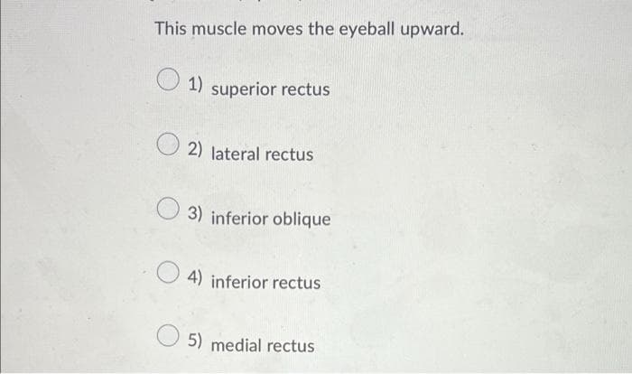 This muscle moves the eyeball upward.
1)
superior rectus
2) lateral rectus
3) inferior oblique
4) inferior rectus
5) medial rectus
