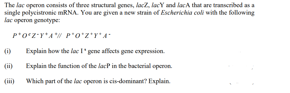The lac operon consists of three structural genes, lacZ, lacY and lacA that are transcribed as a
single polycistronic mRNA. You are given a new strain of Escherichia coli with the following
lac operon genotype:
p+0°Z•Y*A +// P*O*Z*Y+ A-
(i)
Explain how the lac I gene affects gene expression.
(ii)
Explain the function of the lacP in the bacterial operon.
(iii)
Which part of the lac operon is cis-dominant? Explain.
