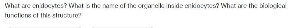 What are cnidocytes? What is the name of the organelle inside cnidocytes? What are the biological
functions of this structure?