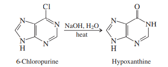 ÇI
N NaOH, H2O
heat
`NH
H
H
6-Chloropurine
Нурохanthine
