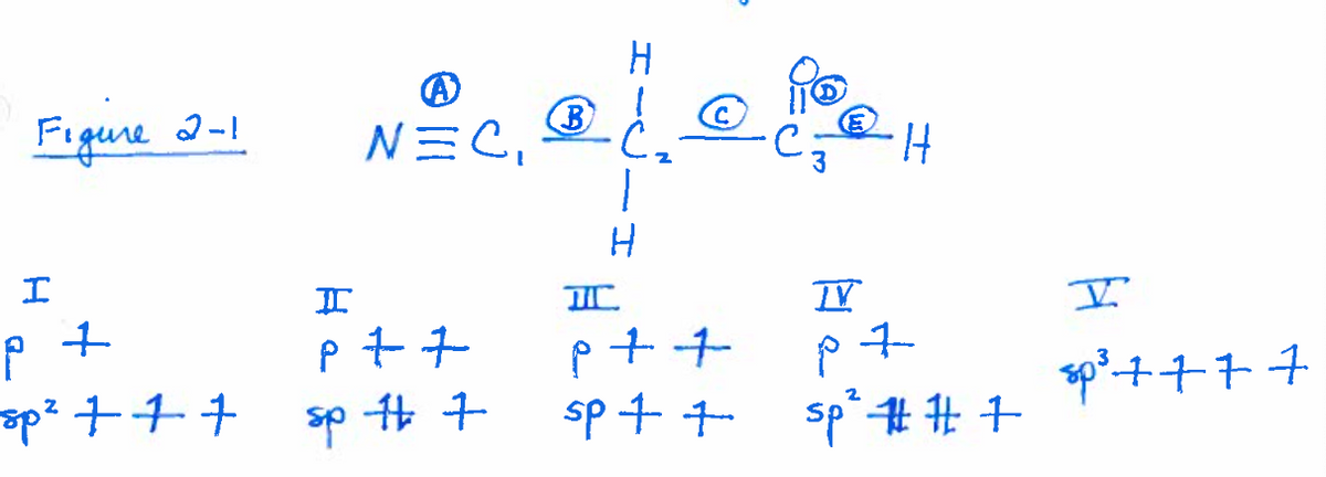 Figure 2-1
I
+
P
sp² + + +
N=C₁
I
P + 7
sp # 7
B
I
H
p++
sp + +
H
TV
p7
+
sp² ## +
V
sp³ ++++