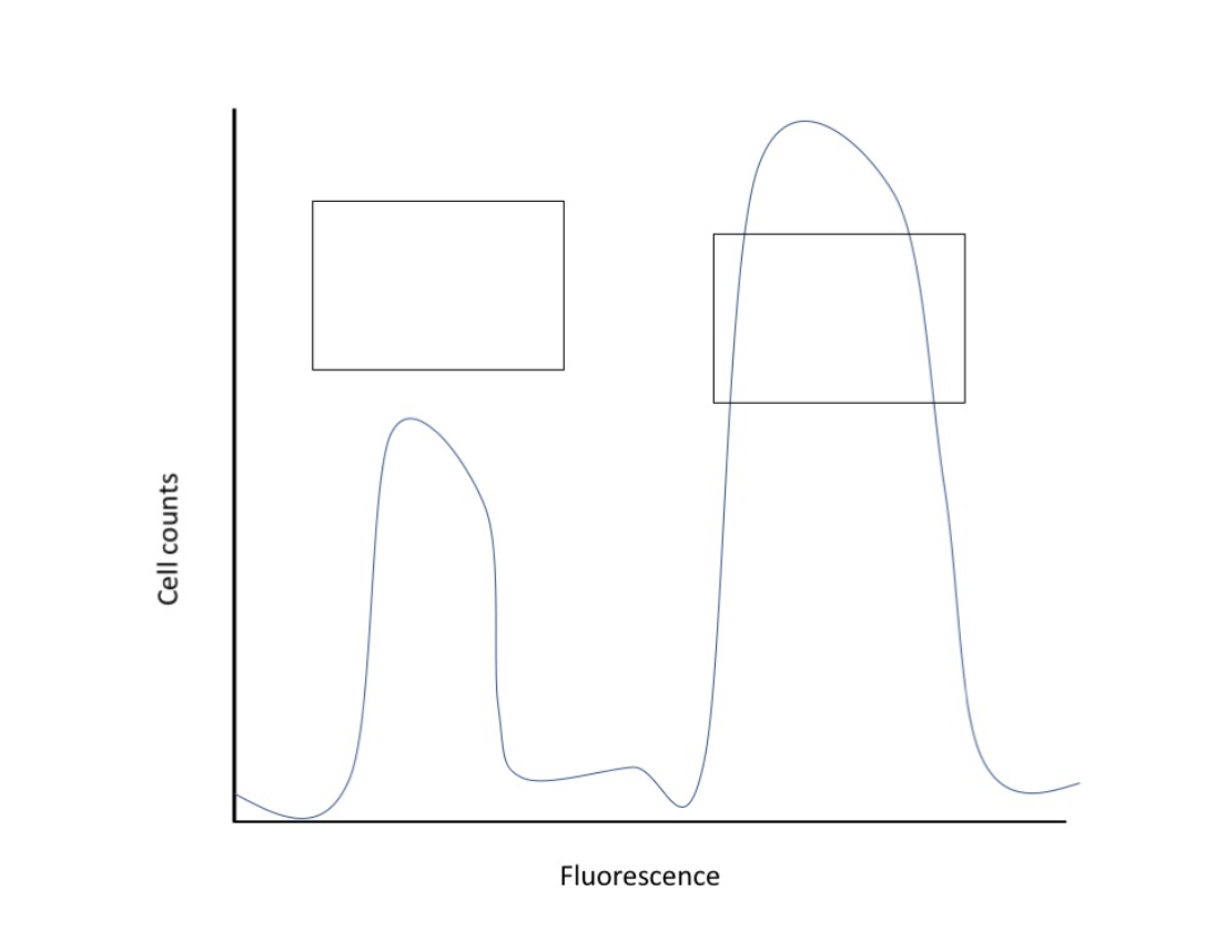 Fluorescence
Cell counts