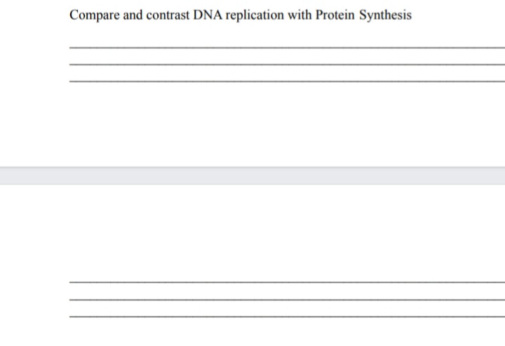 Compare and contrast DNA replication with Protein Synthesis
