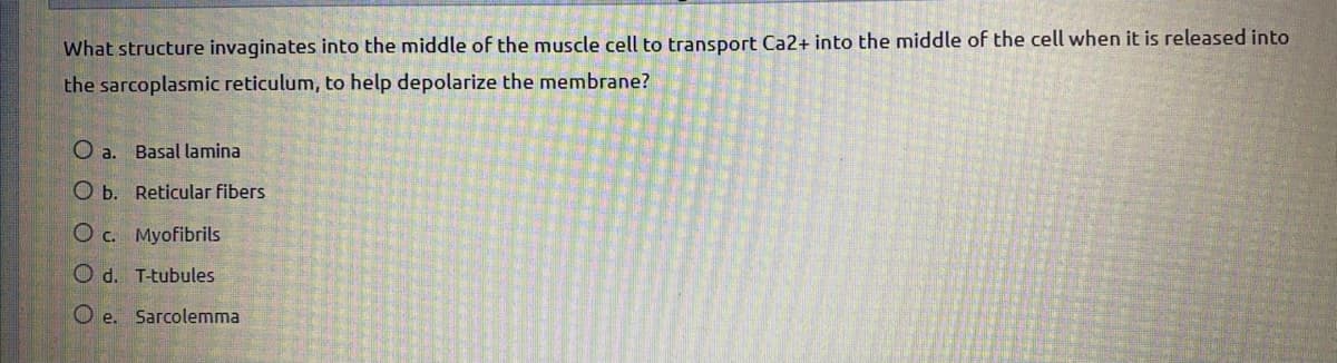 What structure invaginates into the middle of the muscle cell to transport Ca2+ into the middle of the cell when it is released into
the sarcoplasmic reticulum, to help depolarize the membrane?
O a. Basal lamina
O b. Reticular fibers
Oc. Myofibrils
O d. T-tubules
O e. Sarcolemma
