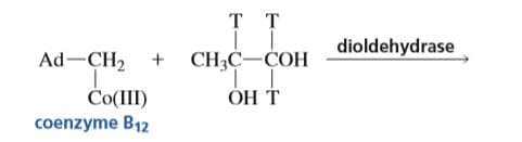 тт
CH-C — СОН
dioldehydrase
Ad-CH2
ÖH T
Co(III)
coenzyme B12
