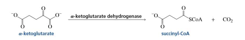 a-ketoglutarate dehydrogenase
SCOA
CO2
a-ketoglutarate
succinyl-CoA
