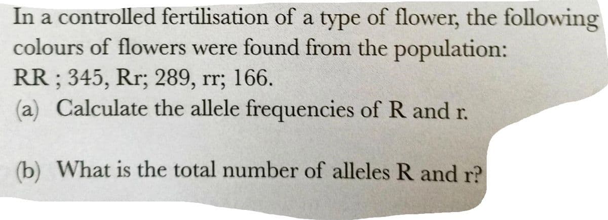 In a controlled fertilisation of a type of flower, the following
colours of flowers were found from the population:
RR ; 345, Rr; 289, rr; 166.
(a) Calculate the allele frequencies of R and r.
(b) What is the total number of alleles R and r?
