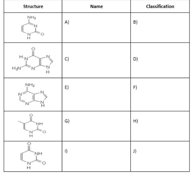 Structure
Name
Classification
NH2
A)
B)
H'N
C)
D)
H
NH2
E)
F)
G)
H)
'NH
'N'
I)
J)
NH
H
