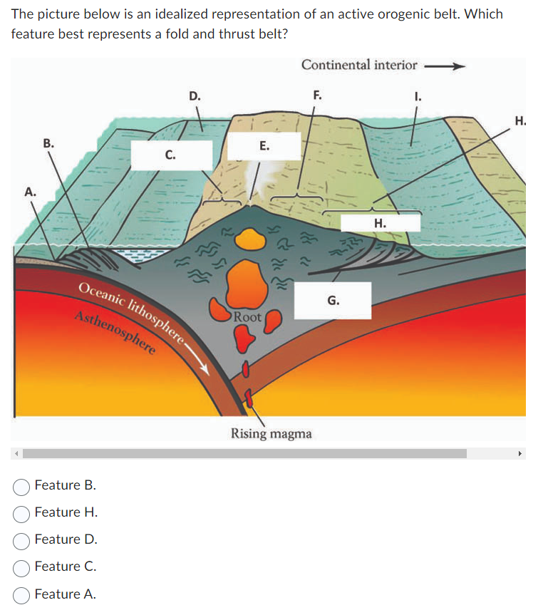 The picture below is an idealized representation of an active orogenic belt. Which
feature best represents a fold and thrust belt?
D.
Continental interior
F.
A.
B.
E.
C.
Oceanic lithosphere-
Asthenosphere
Root
G.
Feature B.
Feature H.
Feature D.
Feature C.
Feature A.
Rising magma
H.
H
I.
H.
