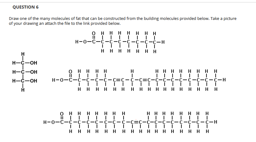QUESTION 6
Draw one of the many molecules of fat that can be constructed from the building molecules provided below. Take a picture
of your drawing an attach the file to the link provided below.
O H HHHHHH
н-о—с-с-с-с -с -с—с-с-н
i iii iii
H H H H H HH
H-C-OH
H H HH H HHH
н-о—с-с-—с-с-с-сс-с-с-с-с-с-с-с-с -с-с-с-н
H-C-OH
онннн
H-C-OH
нннн ннннннннн н ннн
оннн нннн
нннн нннн
Н-о—с-с—с-с-с-с-с-с-с-С-С-С-ҫ-с-с-с-с—с—н
H H HH H H HHHHHHH HHH
