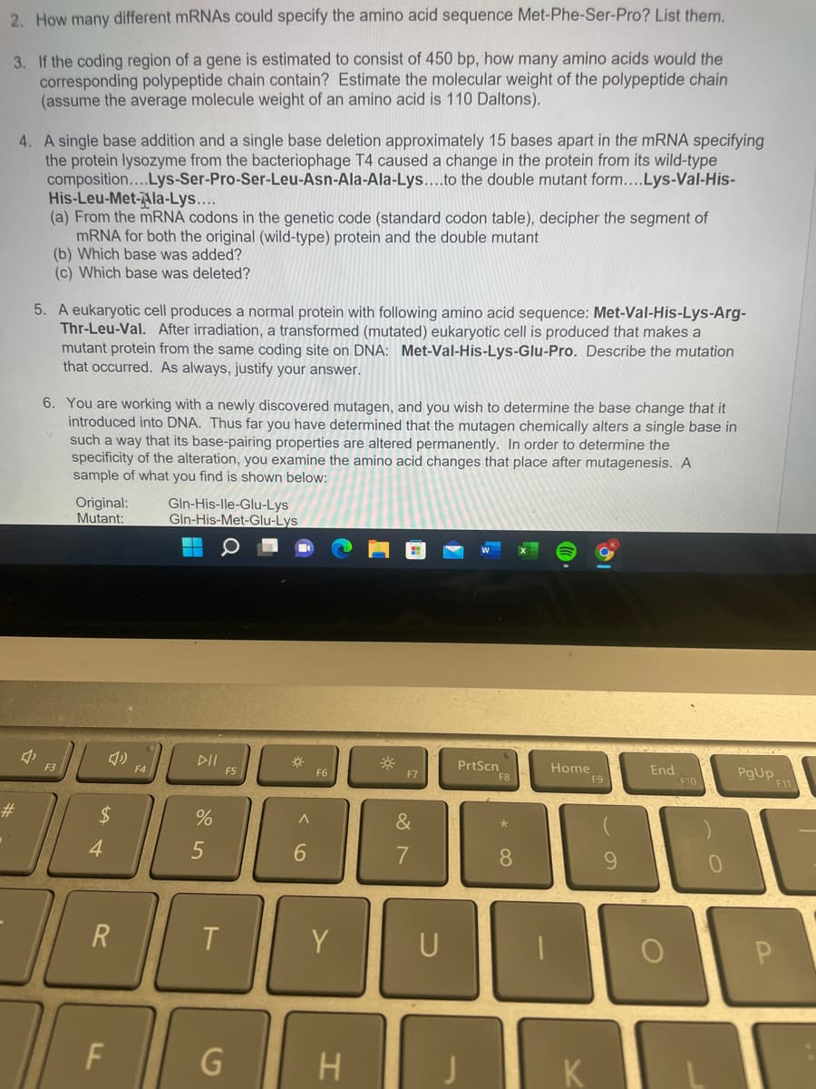 2. How many different mRNAs could specify the amino acid sequence Met-Phe-Ser-Pro? List them.
3. If the coding region of a gene is estimated to consist of 450 bp, how many amino acids would the
corresponding polypeptide chain contain? Estimate the molecular weight of the polypeptide chain
(assume the average molecule weight of an amino acid is 110 Daltons).
#
.
4. A single base addition and a single base deletion approximately 15 bases apart in the mRNA specifying
the protein lysozyme from the bacteriophage T4 caused a change in the protein from its wild-type
composition....Lys-Ser-Pro-Ser-Leu-Asn-Ala-Ala-Lys....to the double mutant form....Lys-Val-His-
His-Leu-Met-Ala-Lys....
(a) From the mRNA codons in the genetic code (standard codon table), decipher the segment of
mRNA for both the original (wild-type) protein and the double mutant
(b) Which base was added?
(c) Which base was deleted?
5. A eukaryotic cell produces a normal protein with following amino acid sequence: Met-Val-His-Lys-Arg-
Thr-Leu-Val. After irradiation, a transformed (mutated) eukaryotic cell is produced that makes a
mutant protein from the same coding site on DNA: Met-Val-His-Lys-Glu-Pro. Describe the mutation
that occurred. As always, justify your answer.
6. You are working with a newly discovered mutagen, and you wish to determine the base change that it
introduced into DNA. Thus far you have determined that the mutagen chemically alters a single base in
such a way that its base-pairing properties are altered permanently. In order to determine the
specificity of the alteration, you examine the amino acid changes that place after mutagenesis. A
sample of what you find is shown below:
F3
Original:
Mutant:
$
944
R
LL
F
»
F4
Gln-His-Ile-Glu-Lys
Gln-His-Met-Glu-Lys
[
DII
%
5
T
F5
G
☀
A
6
F6
Y
H
*
F7
&
7
U
PrtScn
F8
*
8
Home
K
9
End
O
F10
0
PgUp
F11
P