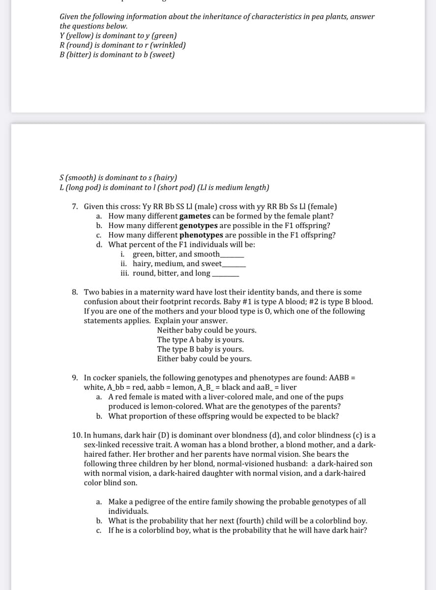 Given the following information about the inheritance of characteristics in pea plants, answer
the questions below.
Y (yellow) is dominant to y (green)
R (round) is dominant to r (wrinkled)
B (bitter) is dominant to b (sweet)
S (smooth) is dominant to s (hairy)
L (long pod) is dominant to 1 (short pod) (Ll is medium length)
7. Given this cross: Yy RR Bb SS LI (male) cross with yy RR Bb Ss LI (female)
a. How many different gametes can be formed by the female plant?
b. How many different genotypes are possible in the F1 offspring?
c. How many different phenotypes are possible in the F1 offspring?
d. What percent of the F1 individuals will be:
i. green, bitter, and smooth_
ii. hairy, medium, and sweet
iii. round, bitter, and long
8. Two babies in a maternity ward have lost their identity bands, and there is some
confusion about their footprint records. Baby #1 is type A blood; #2 is type B blood.
If you are one of the mothers and your blood type is 0, which one of the following
statements applies. Explain your answer.
Neither baby could be yours.
The type A baby is yours.
The type B baby is yours.
Either baby could be yours.
9. In cocker spaniels, the following genotypes and phenotypes are found: AABB =
white, A_bb = red, aabb = lemon, A_B_ = black and aaB_ = liver
a. A red female is mated with a liver-colored male, and one of the pups
produced is lemon-colored. What are the genotypes of the parents?
b. What proportion of these offspring would be expected to be black?
10. In humans, dark hair (D) is dominant over blondness (d), and color blindness (c) is a
sex-linked recessive trait. A woman has a blond brother, a blond mother, and a dark-
haired father. Her brother and her parents have normal vision. She bears the
following three children by her blond, normal-visioned husband: a dark-haired son
with normal vision, a dark-haired daughter with normal vision, and a dark-haired
color blind son.
a. Make a pedigree of the entire family showing the probable genotypes of all
individuals.
b. What is the probability that her next (fourth) child will be a colorblind boy.
c. If he is a colorblind boy, what is the probability that he will have dark hair?
