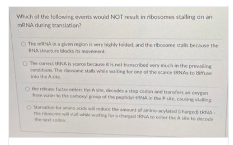 Which of the following events would NOT result in ribosomes stalling on an
MRNA during translation?
The MRNA in a given region is very highly folded, and the ribosome stalls because the
RNA structure blocks its movement.
O The correct ERNA is scarce because it is not transcribed very much in the prevailing
conditions. The ribosome stalls while waiting for one of the scarce tRNAS to diffuse
into the A site.
O the release tactor enters the A site, decodes a stop codon and transfers an oxygen
from water to the carboxyl group of the peptidyl- RNA in the P site, causing stalling.
O Starvation for amino acids will reduce the amount of amino-acylated (charged) TRNA
the ribosome will stall while waiting for a charged tRNA to enter the A site to decode
the next codon
