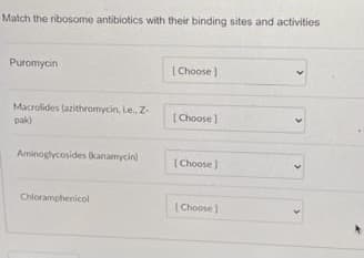 Match the ribosome antibiotics with their binding sites and activities
Puromycin
( Choose )
Macrolides (azithromycin, Le., Z-
pak)
[Choose)
Aminoglycosides kanamycin)
(Choose
Chloramphenicol
(Choose)
