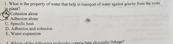 1. What is the property of water that help in transport of water against gravity from the roots
in plant?
Cohesion alone
B. Adhesion alone
C. Specific heat
D. Adhesion and cohesion
E. Water expansion
2 Which of the following molecules contain beta glycosidic linkage?
