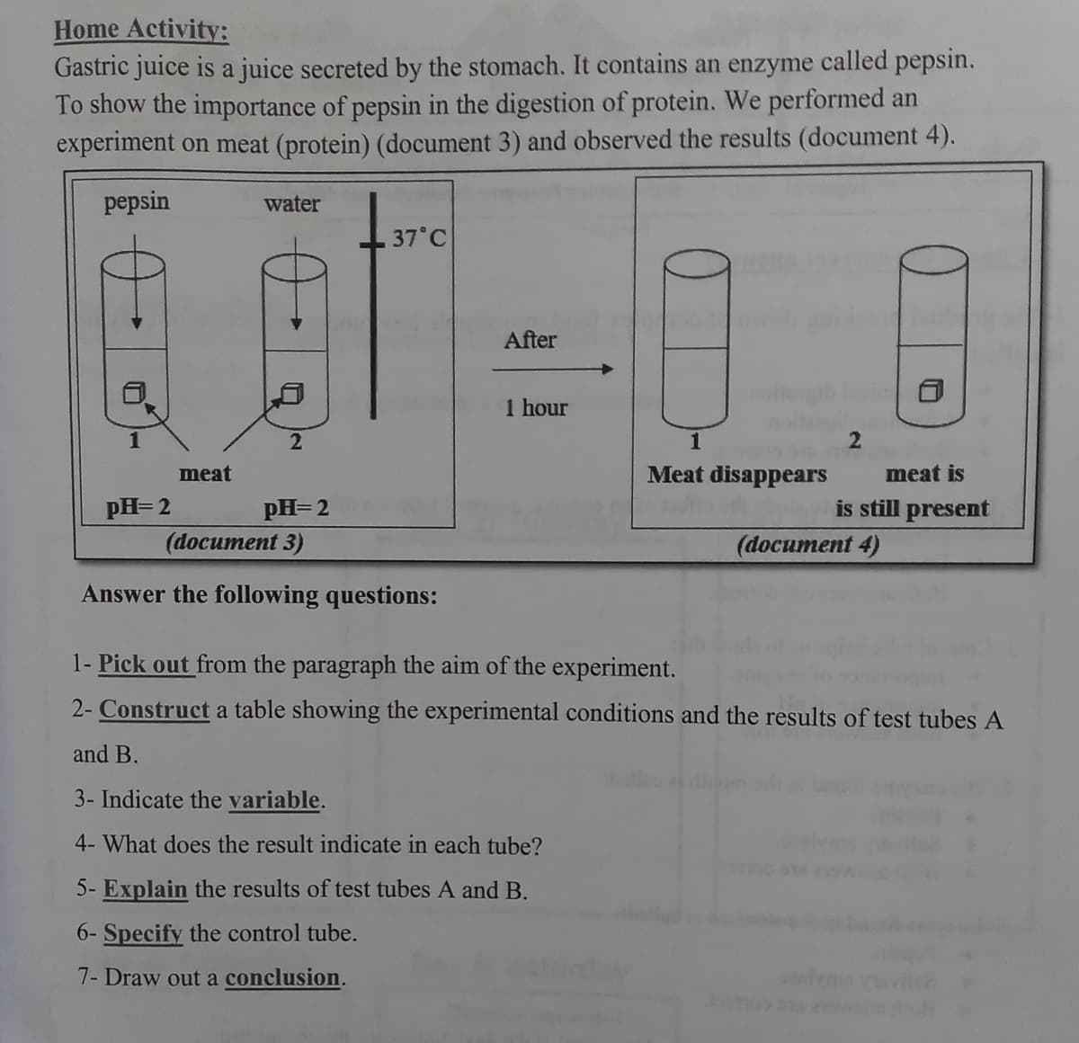 Home Activity:
Gastric juice is a juice secreted by the stomach. It contains an enzyme called pepsin.
To show the importance of pepsin in the digestion of protein. We performed an
experiment on meat (protein) (document 3) and observed the results (document 4).
pepsin
water
37°C
After
1 hour
1
2
1
2
meat
Meat disappears
meat is
pH=2
pH=2
is still present
(document 3)
(document 4)
Answer the following questions:
1- Pick out from the paragraph the aim of the experiment.
2- Construct a table showing the experimental conditions and the results of test tubes A
and B.
3- Indicate the variable.
4- What does the result indicate in each tube?
5- Explain the results of test tubes A and B.
6- Specify the control tube.
7- Draw out a conclusion.
