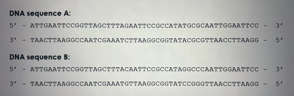 DNA sequence A:
5'
3'
-
3'
-
ATTGAATTCCGGTTAGCTTTAGAATTCCGCCATATGCGCAATTGGAATTCC
DNA sequence B:
5'
-
TAACTTAAGGCCAATCGAAATCTTAAGGCGGTATACGCGTTAACCTTAAGG
ATTGAATTCCGGTTAGCTTTACAATTCCGCCATAGGCCCAATTGGAATTCC
TAACTTAAGGCCAATCGAAATGTTAAGGCGGTATCCGGGTTAACCTTAAGG
-
-
3'
5'
3'
5'