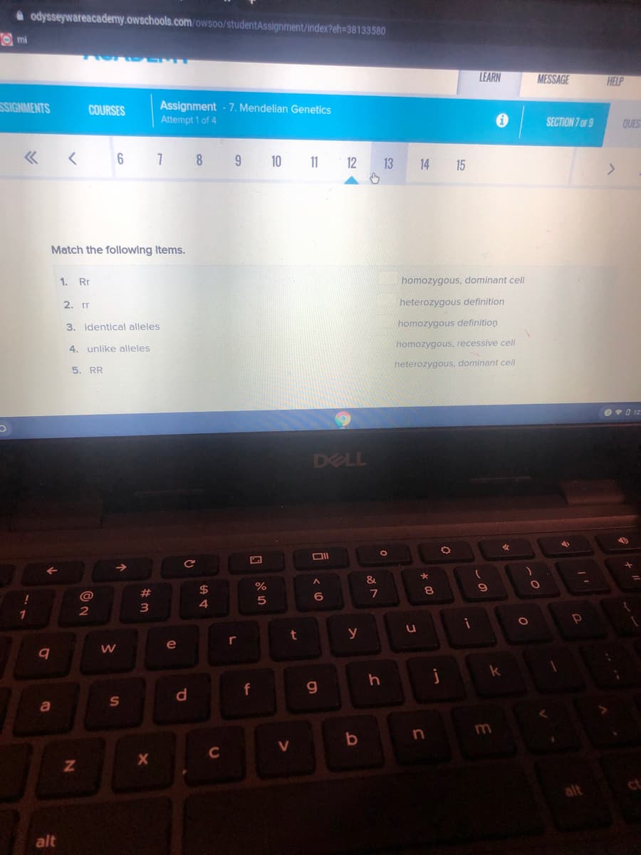 A odysseywareacademy.owschools.com/owsoo/studentAssignment/index?eh=38133580
O mi
LEARN
MESSAGE
HELP
Assignment - 7. Mendelian Genetics
Attempt 1 of 4
SSIGNMENTS
COURSES
SECTION 7 OF 9
QUES
10 11 12 13
14 15
Match the followlng Items.
1. Rr
homozygous, dominant cell
2. rr
heterozygous definition
3. identical alleles
homozygous definition
4. unlike alleles
homozygous, recessive cell
5. RR
heterozygous, dominant cell
OvO 12
DELL
&
23
24
8.
@
6
2
t
y
r
k
f
g.
b
V
ct
alt
alt
