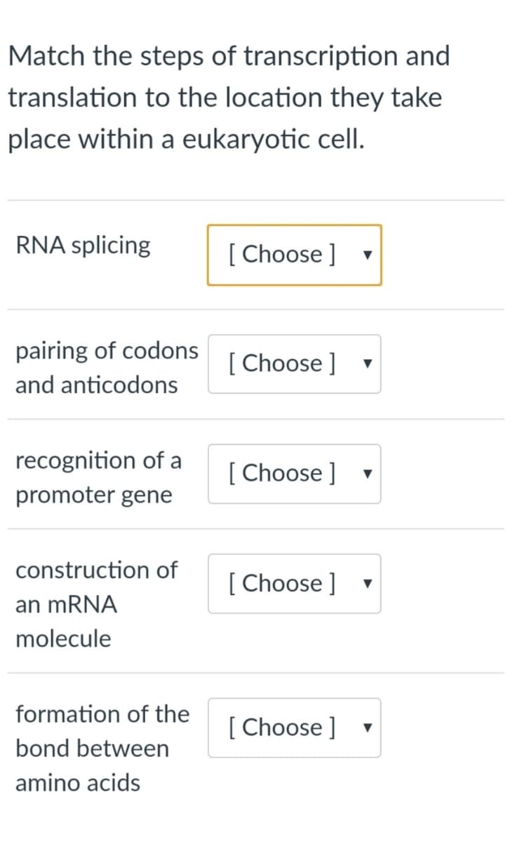 Match the steps of transcription and
translation to the location they take
place within a eukaryotic cell.
RNA splicing
[ Choose ]
pairing of codons
[ Choose ]
and anticodons
recognition of a
[ Choose ]
promoter gene
construction of
[ Choose ]
an mRNA
molecule
formation of the
[ Choose ]
bond between
amino acids
