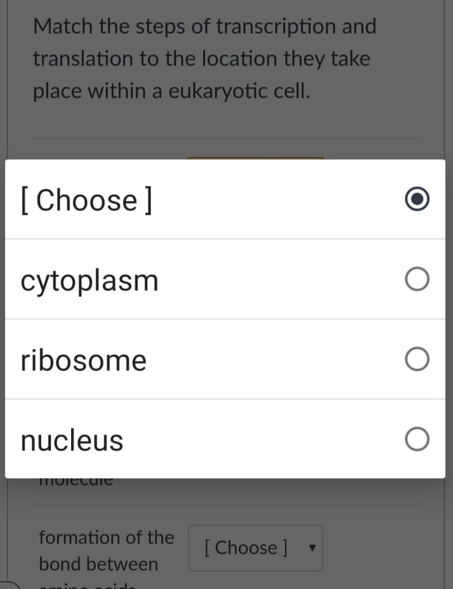 Match the steps of transcription and
translation to the location they take
place within a eukaryotic cell.
[Choose]
cytoplasm
ribosome
nucleus
MOlecuIe
formation of the
[Choose ]
bond between
