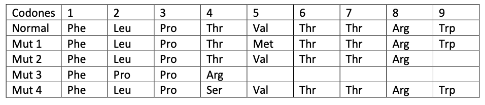 Codones 1
2
3
4
6
7
8
9
Normal
Phe
Thr
Val
Thr
Thr
Trp
Trp
Leu
Pro
Arg
Mut 1
Phe
Leu
Pro
Thr
Met
Thr
Thr
Arg
Arg
Mut 2
Phe
Leu
Pro
Thr
Val
Thr
Thr
Mut 3
Phe
Pro
Pro
Arg
Mut 4
Phe
Leu
Pro
Ser
Val
Thr
Thr
Arg
Trp
