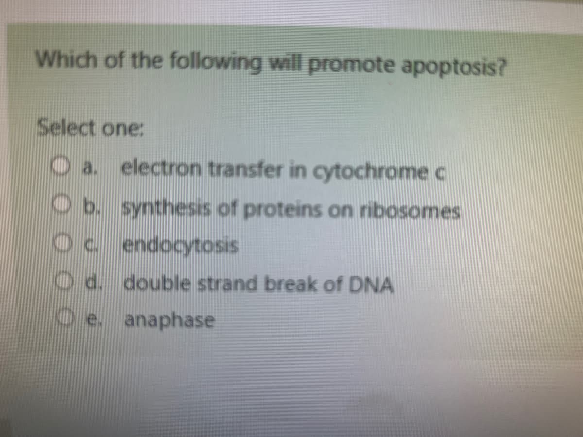 Which of the following will promote apoptosis?
Select one:
O a. electron transfer in cytochrome c
b. synthesis of proteins on ribosomes
Oc. endocytosis
Od.
d. double strand break of DNA
e. anaphase