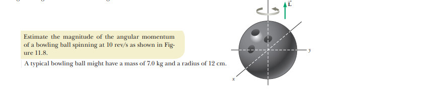 Estimate the magnitude of the angular momentum
of a bowling ball spinning at 10 rev/s as shown in Fig-
ure 11.8.
| A typical bowling ball might have a mass of 7.0 kg and a radius of 12 cm.
