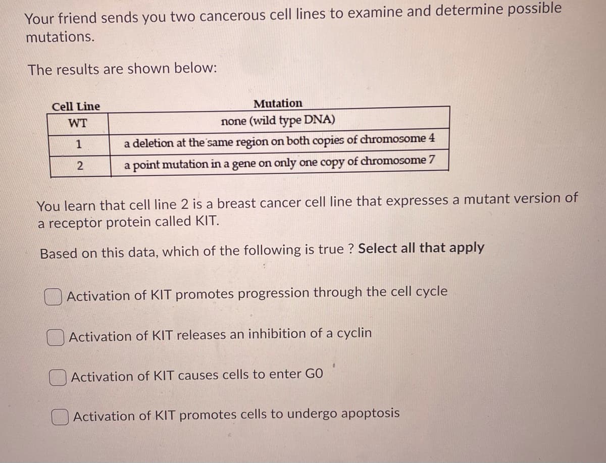 Your friend sends you two cancerous cel| lines to examine and determine possible
mutations.
The results are shown below:
Cell Line
Mutation
WT
none (wild type DNA)
1
a deletion at the same region on both copies of chromosome 4
2
a point mutation in a gene on only one copy of chromosome 7
You learn that cell line 2 is a breast cancer cell line that expresses a mutant version of
a receptor protein called KIT.
Based on this data, which of the following is true ? Select all that apply
Activation of KIT promotes progression through the cell cycle
Activation of KIT releases an inhibition of a cyclin
Activation of KIT causes cells to enter GO
O Activation of KIT promotes cells to undergo apoptosis
