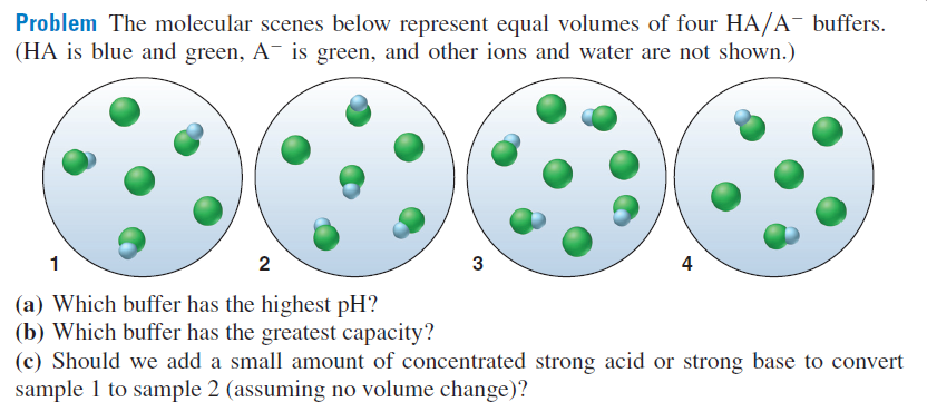 Problem The molecular scenes below represent equal volumes of four HA/A¯ buffers.
(HA is blue and green, A¯ is green, and other ions and water are not shown.)
1
2
4
(a) Which buffer has the highest pH?
(b) Which buffer has the greatest capacity?
(c) Should we add a small amount of concentrated strong acid or strong base to convert
sample 1 to sample 2 (assuming no volume change)?
