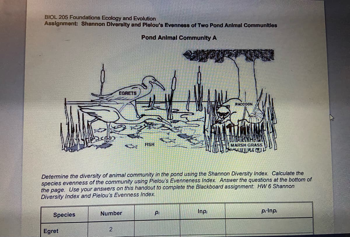 BIOL 205 Foundations Ecology and Evolution
Assignment: Shannon Diversity and Pielou's Evenness of Two Pond Animal Communities
Pond Animal Community A
Species
Egret
EGRETS
Determine the diversity of animal community in the pond using the Shannon Diversity Index. Calculate the
species evenness of the community using Pielou's Evenneness Index. Answer the questions at the bottom of
the page. Use your answers on this handout to complete the Blackboard assignment: HW 6 Shannon
Diversity Index and Pielou's Evenness Index.
Number
2
FISH
pi
RACCOON
Inpi
MARSH GRASS
ԴՐԱՎՈՐ 1
pilnpi
2014