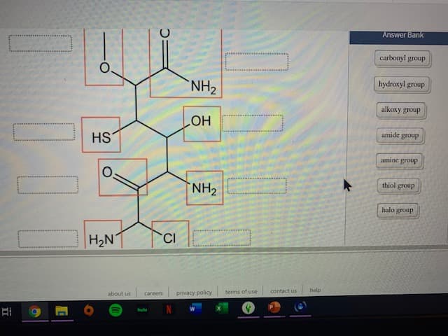 Answer Bank
carbonyl group
hydroxyl group
NH2
alkoxy group
amide group
HO
HS
amine group
thiol group
NH2
halo group
TCI
|H2N
