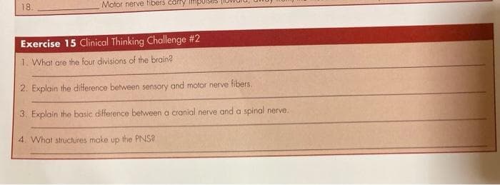 18.
Motor nerve fibers carry iffipuis
Exercise 15 Clinical Thinking Challenge #2
1. What are the four divisions of the brain?
2. Explain the difference between sensory and motor nerve fibers.
3. Explain the basic difference between a cranial nerve and a spinal nerve.
4. What structures make up
the PNS?