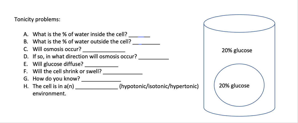 Tonicity problems:
A. What is the % of water inside the cell?
B. What is the % of water outside the cell?
C. Will osmosis occur?
D. If so, in what direction will osmosis occur?
E. Will glucose diffuse?
F. Will the cell shrink or swell?
G. How do you know?
H. The cell is in a(n)
20% glucose
(hypotonic/isotonic/hypertonic)
20% glucose
environment.
