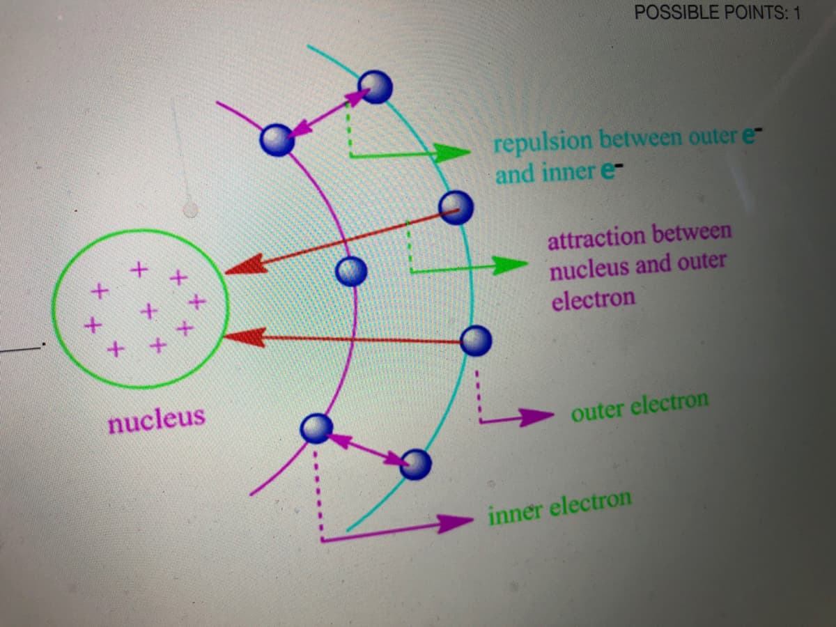 POSSIBLE POINTS: 1
repulsion between outer e-
and inner e-
attraction between
nucleus and outer
electron
nucleus
outer electron
inner electron
メメ
