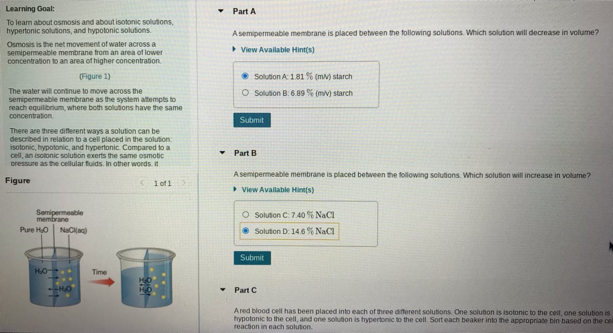 Learning Goal:
Part A
To learn about osmosis and about isotonic solutions,
hypertonic solutions, and hypotonic solutions.
A semipermeable membrane is placed between the following solutions. Which solution will decrease in volume?
Osmosis is the net movement of water across a
semipermeable membrane from an area of lower
concentration to an area of higher concentration.
• View Available Hint(s)
(Figure 1)
O Solution A: 1.81 % (m/v) starch
The water will continue to move across the
O Solution B: 6.89 % (m/v) starch
semipermeable membrane as the system attempts to
reach equilibrium, where both solutions have the same
concentration.
Submit
There are three different ways a solution can be
described in relation to a cell placed in the solution:
isotonic, hypotonic, and hypertonic. Compared to a
cell, an isotonic solution exerts the same osmotic
pressure as the cellular fluids. In other words. it
Part B
A semipermeable membrane is placed between the following solutions. Which solution will increase in volume?
Figure
< 1 of 1
> View Available Hint(s)
Semipermeable
membrane
O Solution C: 7.40 % NaCl
Pure HO
NaCl(aq)
O Solution D: 14.6 % NaCl
Submit
H2O-
Time
H2O
H2O
-HO
Part C
A red blood cell has been placed into each of three different solutions. One solution is isotonic to the celI, one solution is
hypotonic to the cell, and one solution is hypertonic to the cell. Sort each beaker into the appropriate bin based on the cel
reaction in each solution.
