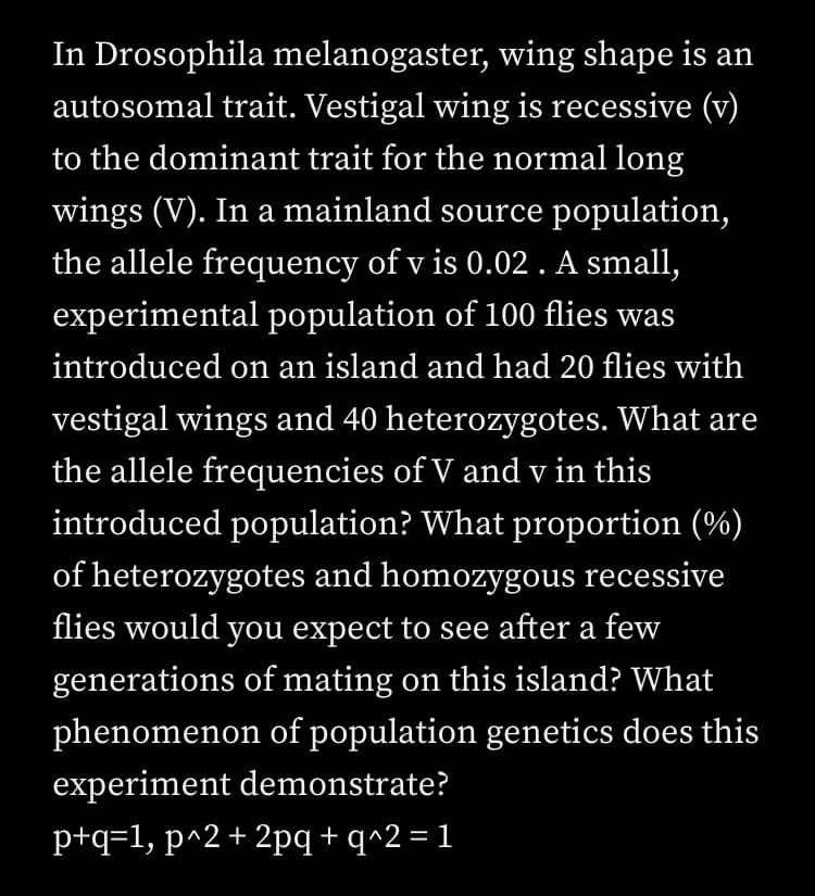 In Drosophila melanogaster, wing shape is an
autosomal trait. Vestigal wing is recessive (v)
to the dominant trait for the normal long
wings (V). In a mainland source population,
the allele frequency of v is 0.02 . A small,
experimental population of 100 flies was
introduced on an island and had 20 flies with
vestigal wings and 40 heterozygotes. What are
the allele frequencies of V and v in this
introduced population? What proportion (%)
of heterozygotes and homozygous recessive
flies would you expect to see after a few
generations of mating on this island? What
phenomenon of population genetics does this
experiment demonstrate?
p+q=1, p^2+ 2pq+q^2=1
