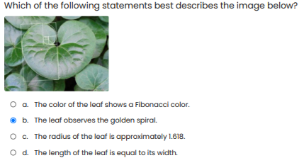 Which of the following statements best describes the image below?
a. The color of the leaf shows a Fibonacci color.
b. The leaf observes the golden spiral.
O c. The radius of the leaf is approximately 1.618.
O d. The length of the leaf is equal to its width.
