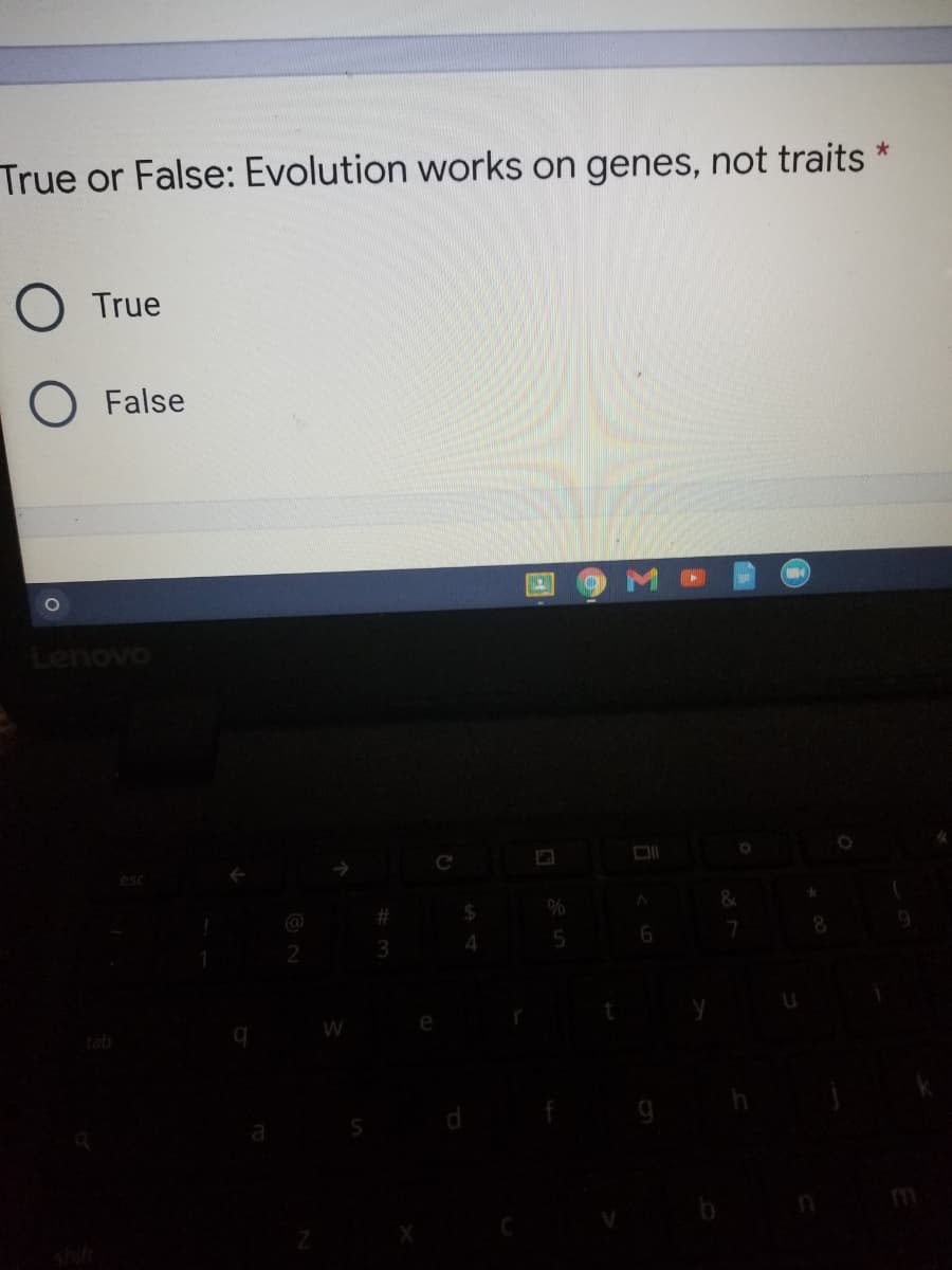 True or False: Evolution works on genes, not traits
O True
O False
Lenovo
2
tab
shift
